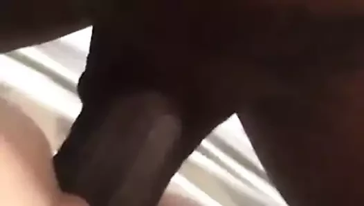 bbc