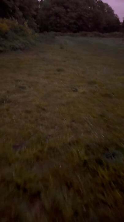 Left clothes in car for a barefoot naked walk in the rain down a lane never walked even clothed