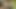 Leaked suman bhabhi fucked hard oily pussy