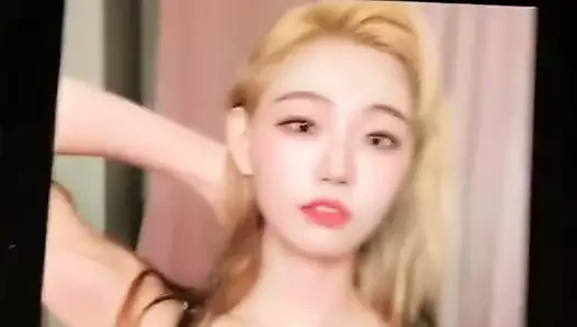 Cumtribute3