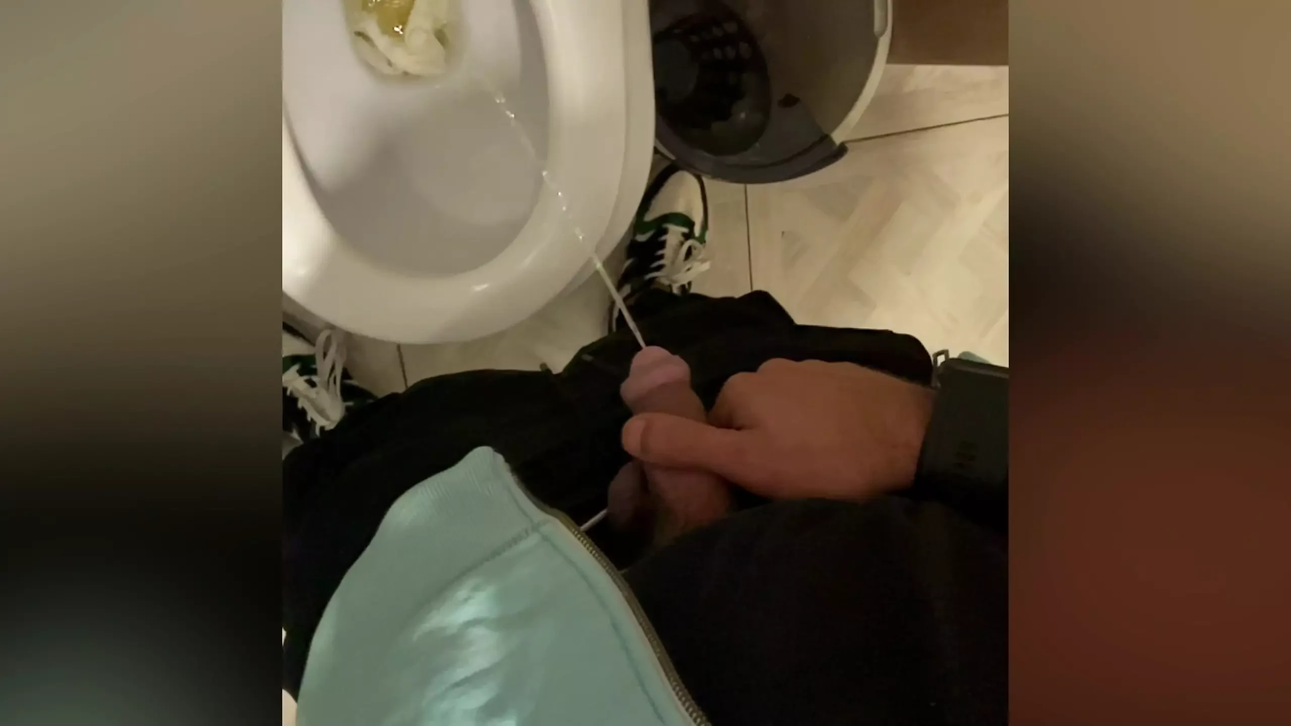 猪