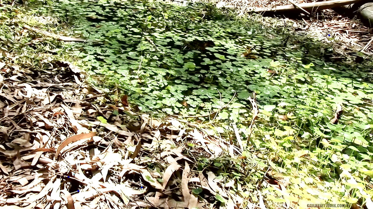 Ngentot sange di hutan