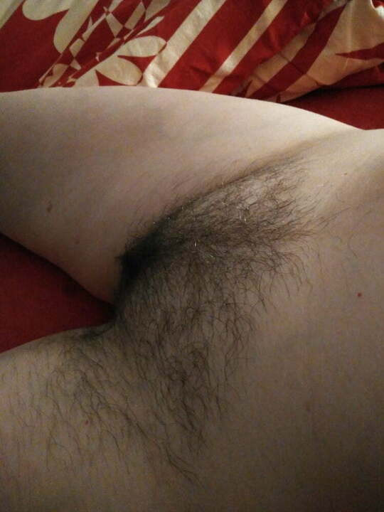 Mandy&#39;nin aşırı şişman, kıllı kedi ve eşek yakın çekim kırpma, pov