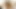 POV-fick Mit Zwei Jungen Schönheiten