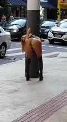 Loira exibicionista