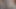 cockzilla 14 inch long big dildo