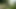 Quick Cumshot INTO the Forest big Dick (23cm) Monster Cock