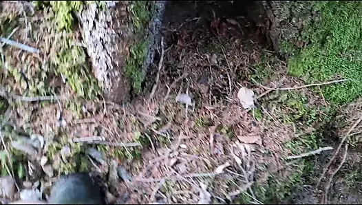 Genç ormanda riskli bir şekilde mastürbasyon yapıyor