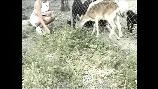 KUKEN 6 (Full Movie)