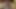 Dirtygardengirl tarafından yatakta kendi kendine anal yumruk sokma ve anal sarkma