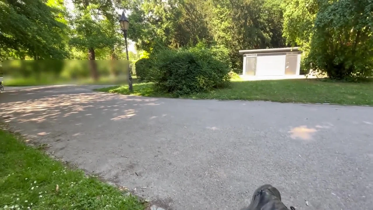 Stranger Fucked Me in a Park Toilet (risky!)