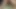 Eyersiz kıllı guatemala kedi Creampie