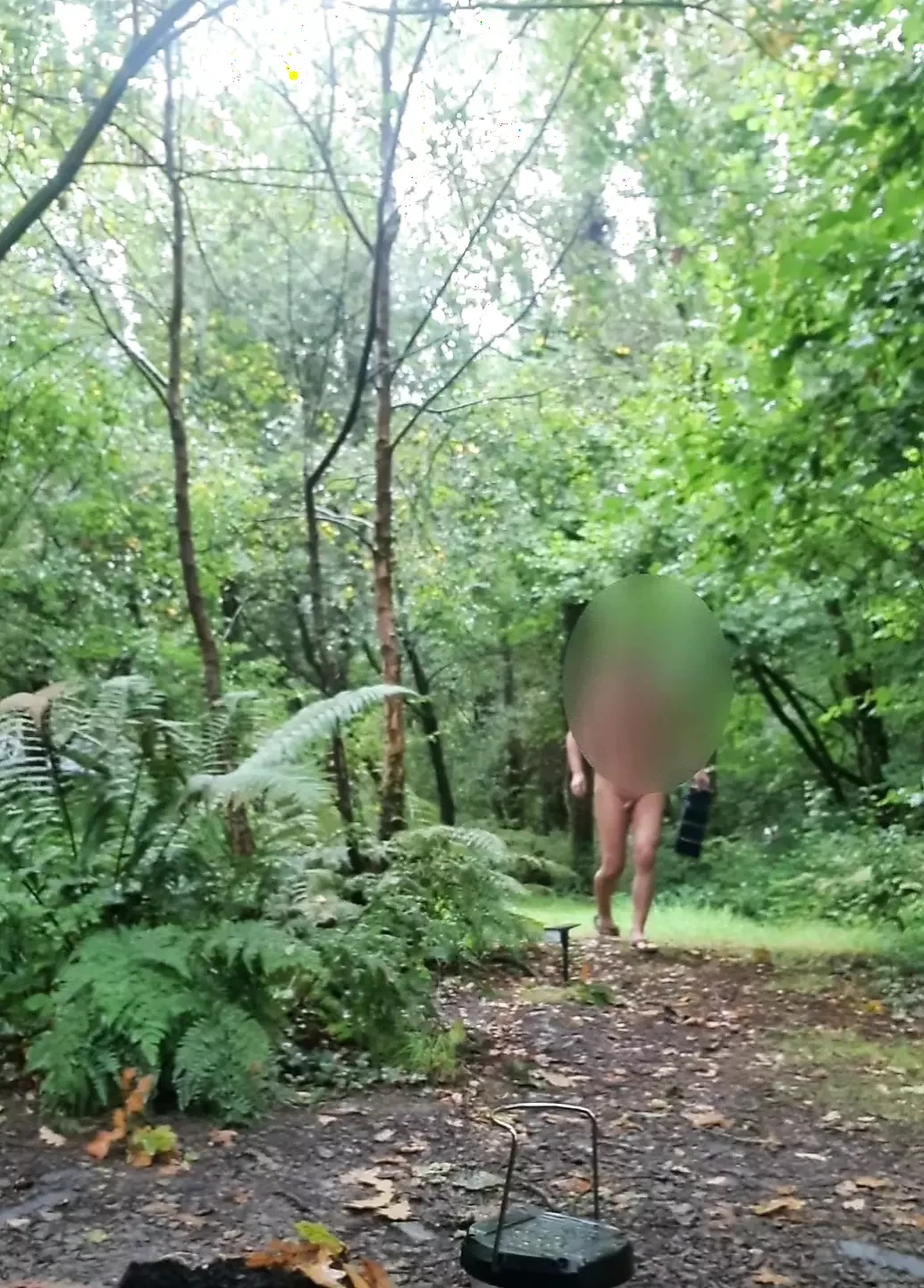 at a woodland campsite
