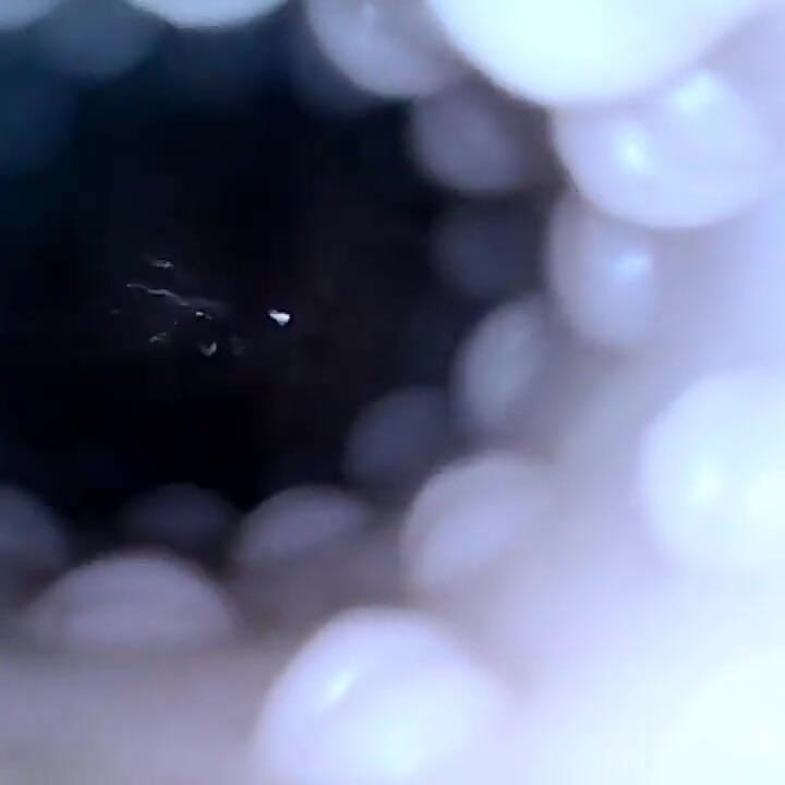 Internal closeup fucktoy