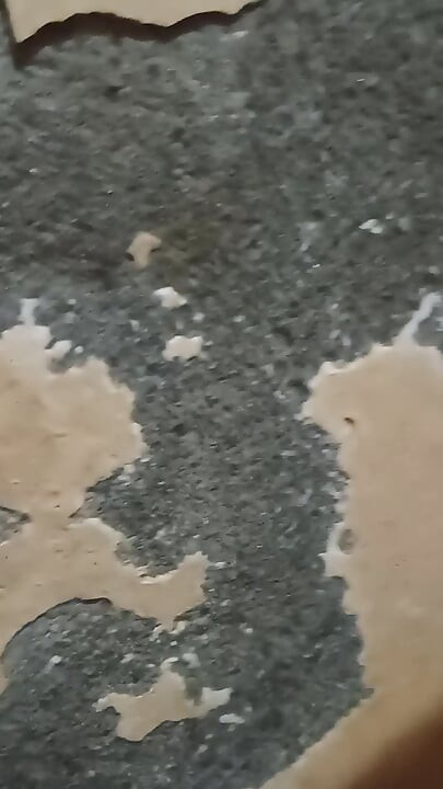 Put the bottle in the dirt and took out the water of the load.