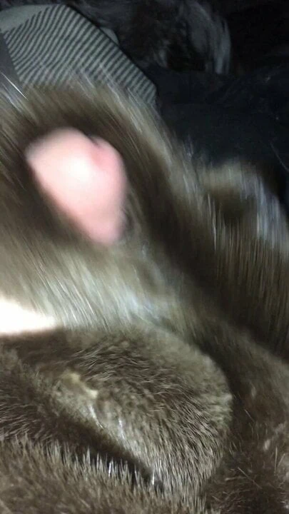 Cum en piel de nutria