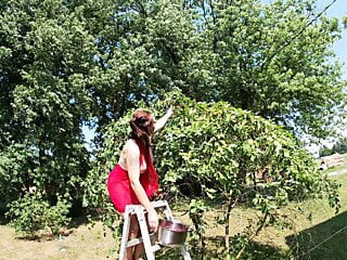 Une brune aux seins nus cueille des cerises dans l'arbre