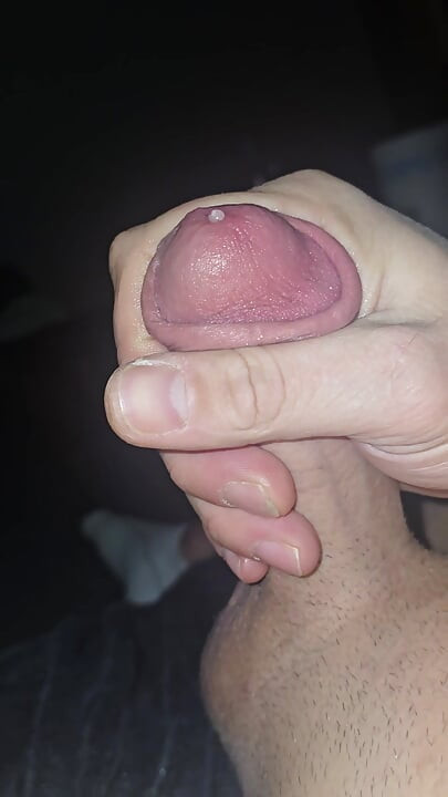 Cock playing