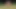 Kızlar ikilisi ormanın kenarında çimlerde bir adamla sikişiyor