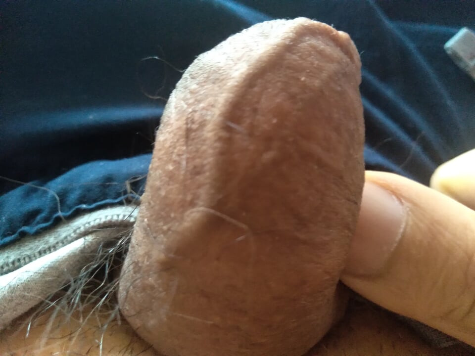 ควยใหญ่ฮาร์ดคอร์ขยับได้ดี