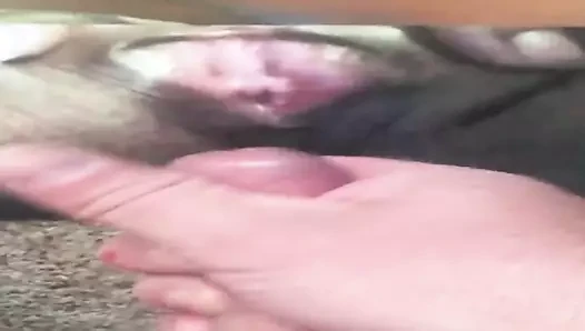 cum4u 2 haraç