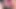 Bu emiyor ve vibratör yalayarak orgazm olmayı durduramıyorum - thebadpeach'tan seks oyuncağı