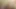 Büyük memeli porno süper yıldızları Lisa Ann ve Jayden James oyuncak ve takma yarak eğlencesi