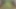 Onlyfans Twerkers -Mimivimii