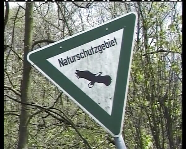 Amateur Teen From Germany Gets to Ride Cock