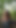 Stunning moment from "EVERYONE LOOK! EDUCATIONAL BEAUTIFUL VIDEO I TRIED and we were caught in the forest!)"