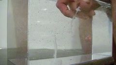 Klaarkomen in water, in een container zoals een klein aquarium - 04