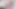 En sevdiğim ders çalışma arkadaşımla yepyeni bir video ders çalışmak için geliyor. Büyük yarağım bu sevimli üvey kız kardeşini sikmeyi seviyorum