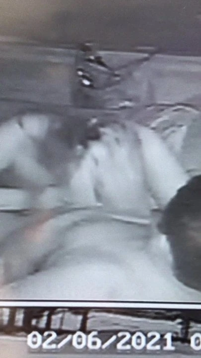 sucking cock in the middle of the night