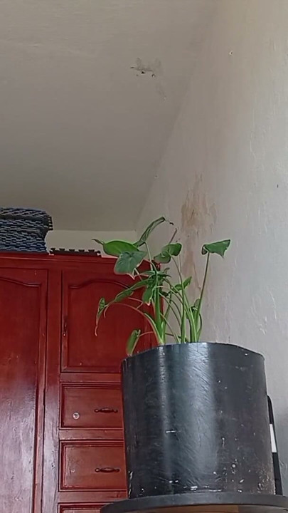 My mother-in-law told me that she cleaned the room in a thong | Clip 2