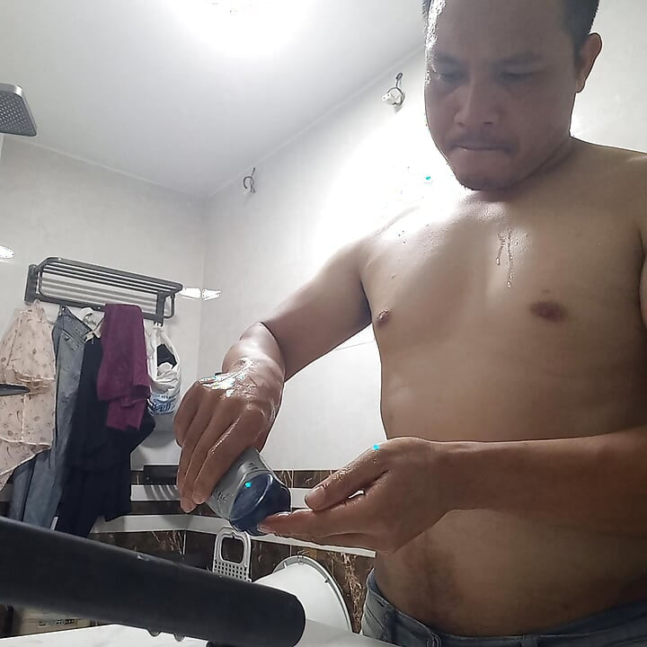 Vietnameză