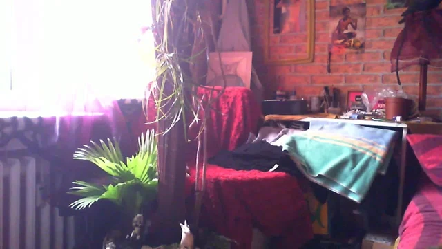 Am Fenster im (spielen) Part one