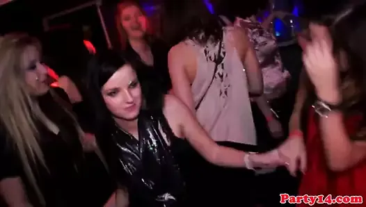 Real amateur cocksucking at party