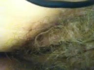 Jennifer Peterson adalah seorang pembohong