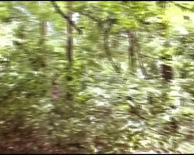German bitch gets a facial after solo action in the woods