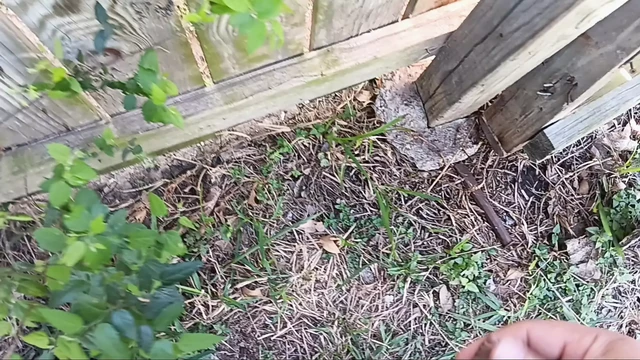 Peeing on my neighbor in public. Follow me onlyfans jarred333