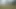 WINTER WALK IN FOG . NO PROTECTION IF CAUGHT