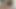 王であることはとても良い