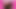 Sissy Compilation May 2024 - Master steve