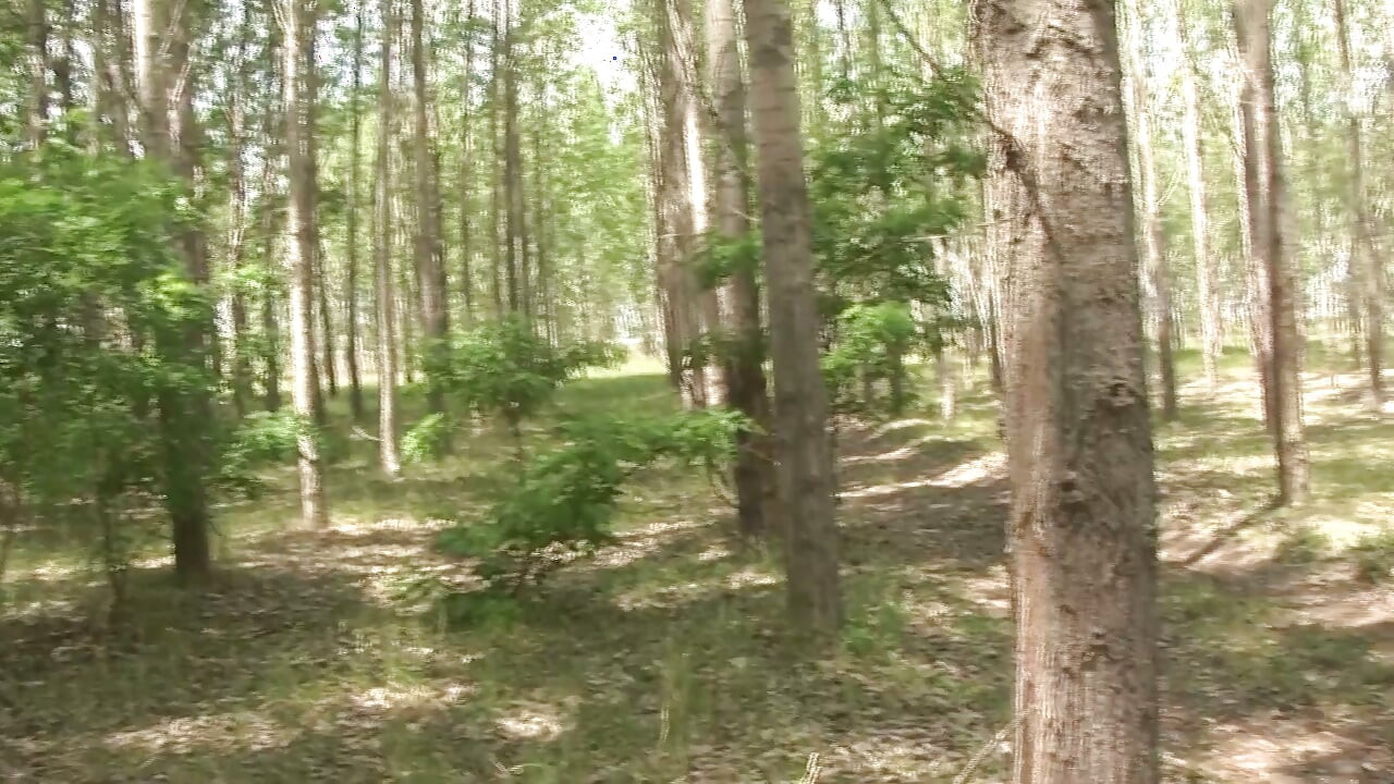Mature Brunette and Blonde MILFs Suck Big Cocks Outdoors