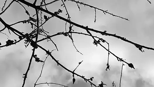 Pinkeln in der natur