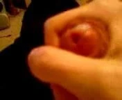 my cock
