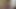 Lelu lovecloseup deve tırnağı! yayılıyor büzüşme