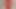 New red cock sheath pantyhose - small soft cock sissy