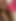 sexy girl fuck with bf in sleep cream pie squirting pussy viral mms indian desi girl Anal fuck