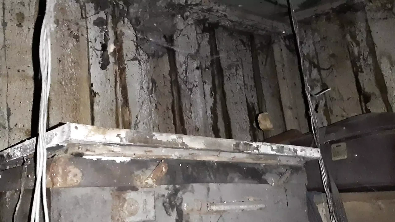 农村女孩在冷谷仓里热辣地自慰